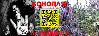 шишки Коммунар
