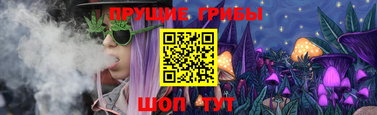 Псилоцибиновые грибы мицелий Киселёвск
